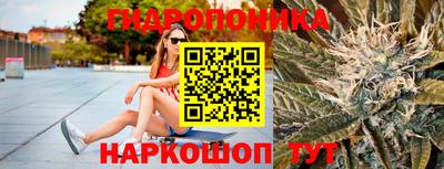 прущие крисы Гагарин