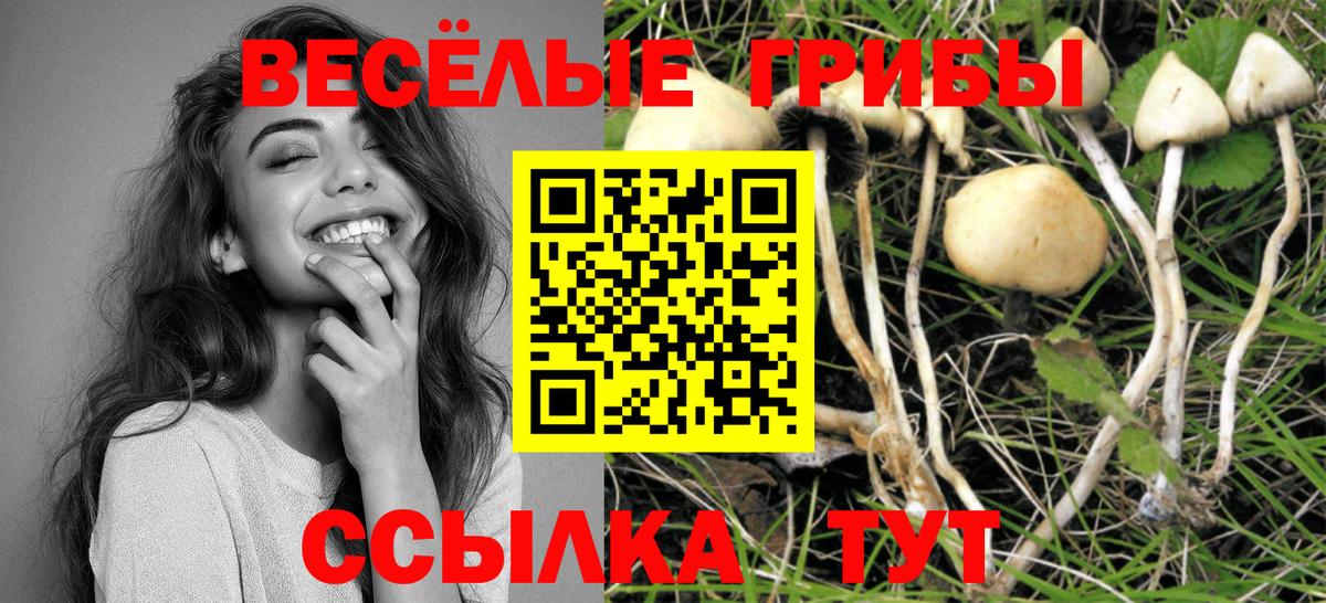 Галлюциногенные грибы Magic Shrooms  Псилоцибиновые грибы Cubensis  Пушкино  Вход с VPN 