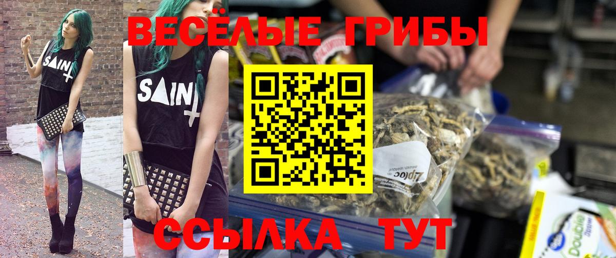 Псилоцибиновые грибы Psilocybine cubensis Пушкино